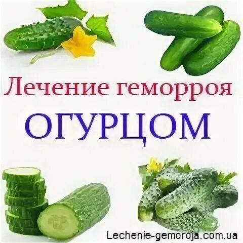 Доктор огурцы от геморроя. Геморрой огурец с грядки. Огурец от геморроя. Геморрой огурец с грядки. Кто давал совет лечить геморрой в домашних условиях огурцом.