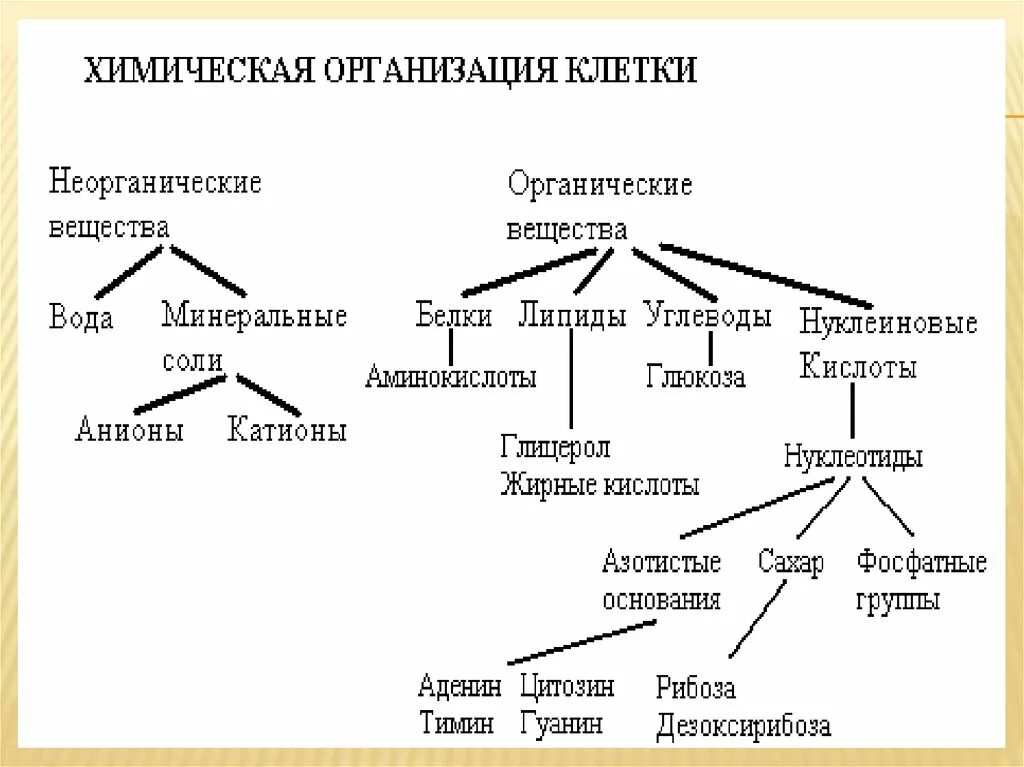 Химические соединения биология