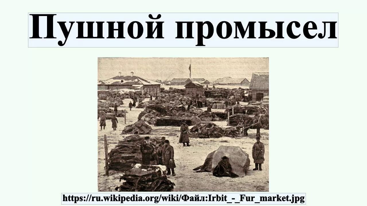 Презентация пушнина 18 век. Презентация пушнина 18 век в России. Пушной налог на руси