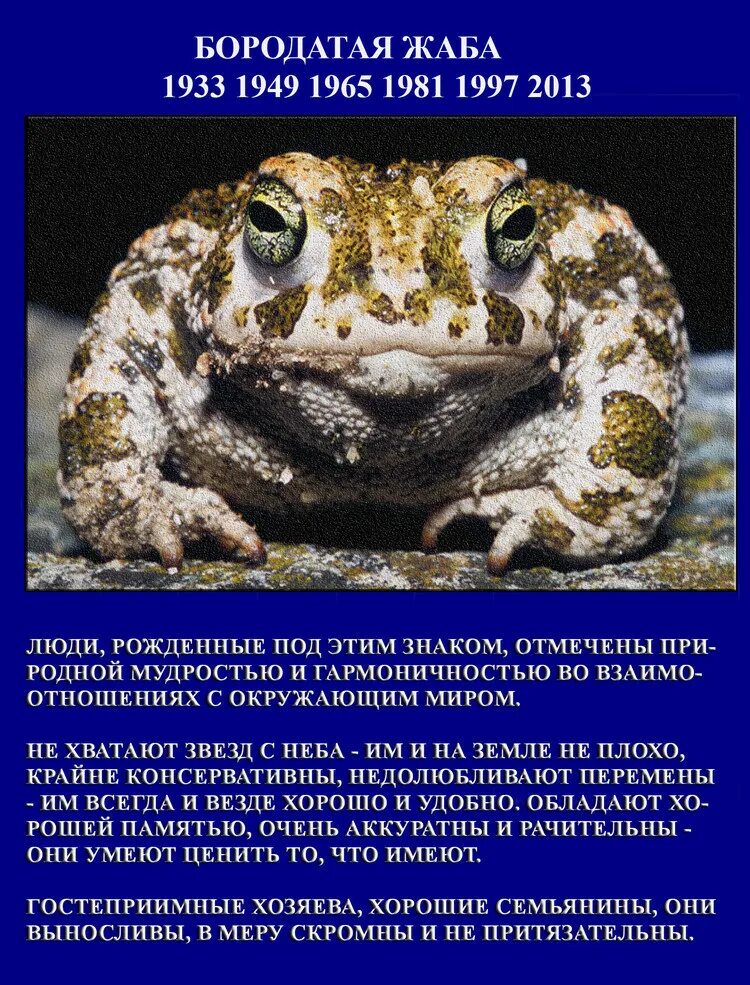 Славянский календарь чей год. Славянский годослов тотемный по годам. Славянский гороскоп. Животные по славянскому гороскопу. Славянский календарь животных.