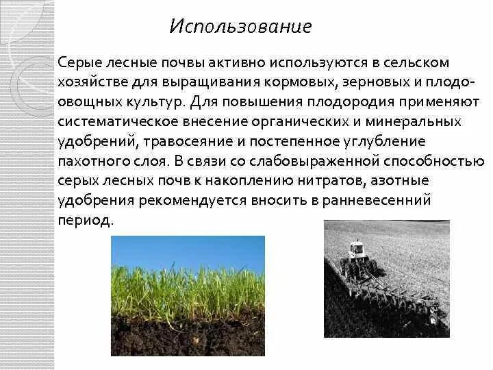 Условия образования серых почв. Серые Лесные почвы плодородие почвы. Плодородие серой Лесной почвы. Использование почвы в хозяйстве. Сельскохозяйственное использование почв.