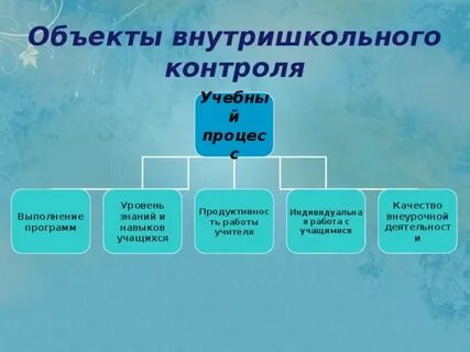 Программа внутришкольного контроля