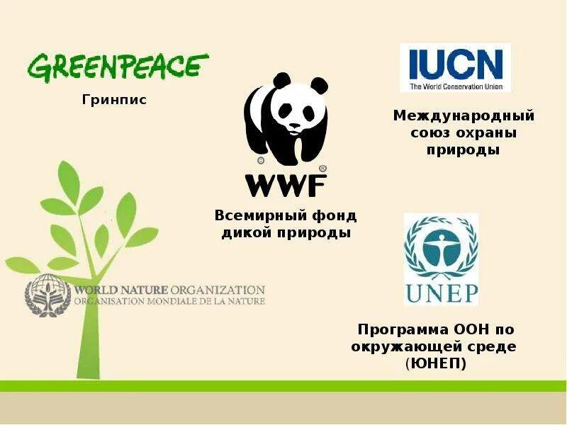 The world wildlife fund is an organization. Гринпис. Международные организации по охране экологии. Всемирная организация по защите природы. Greenpeace Международная организация.