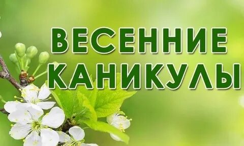 Picture background