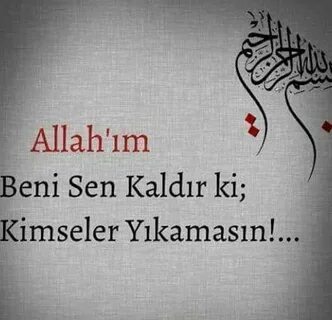 Sen ol