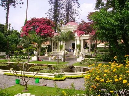 Garden of dreams