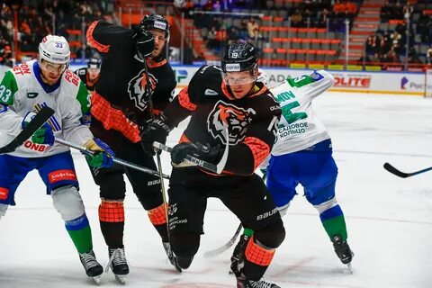 Спорт 24 хоккей