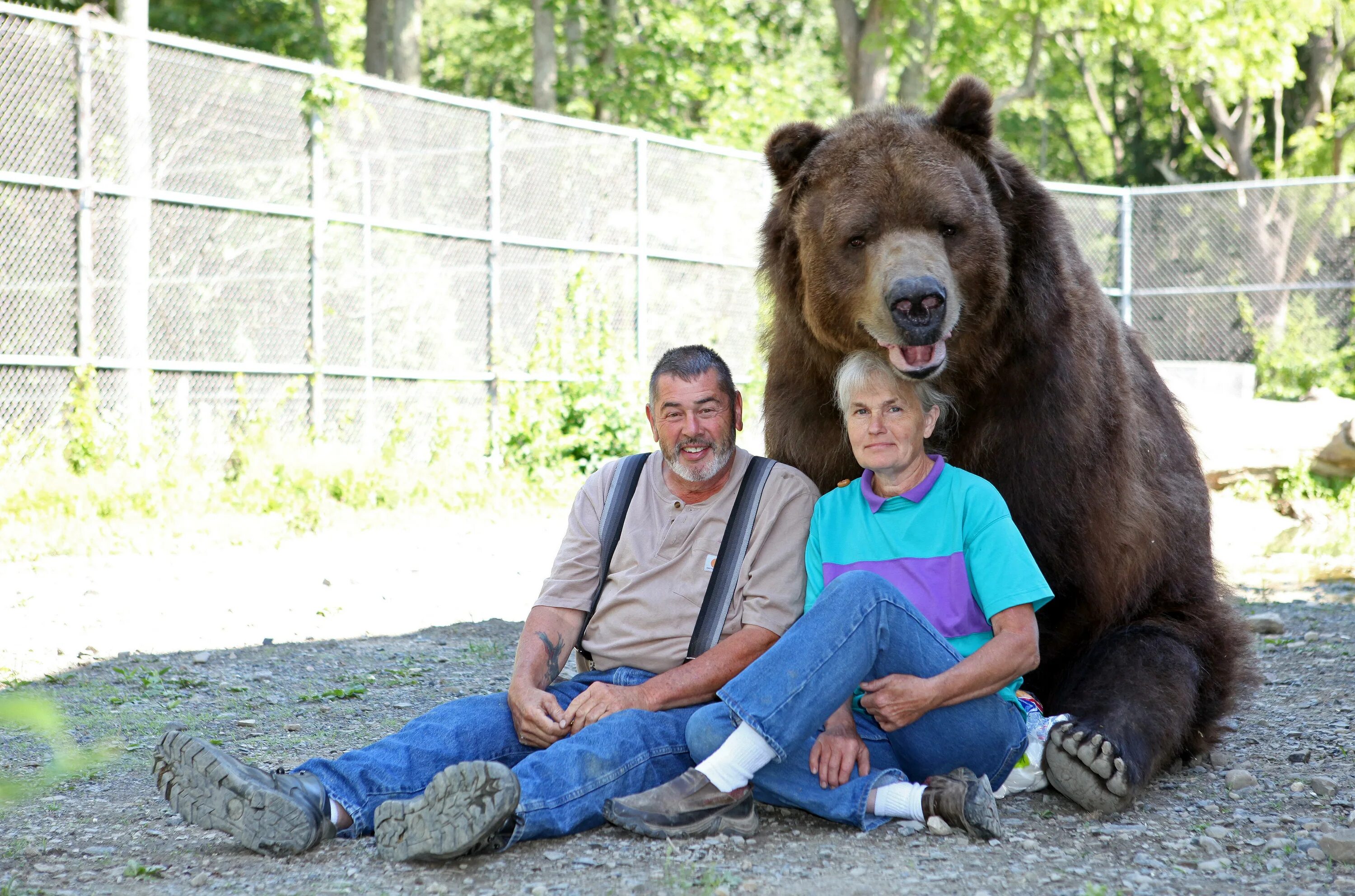 Какие медведи крупнее. Джим Ковальчик. Медведь Кадьяк самый большой в мире. Джим Ковальчик и его медведи. Бурый медведь Кадьяк и человек.