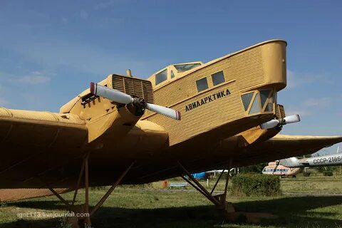 Ант 4