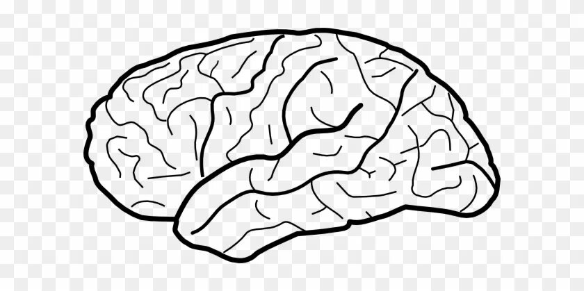 1 2 3 1 brain