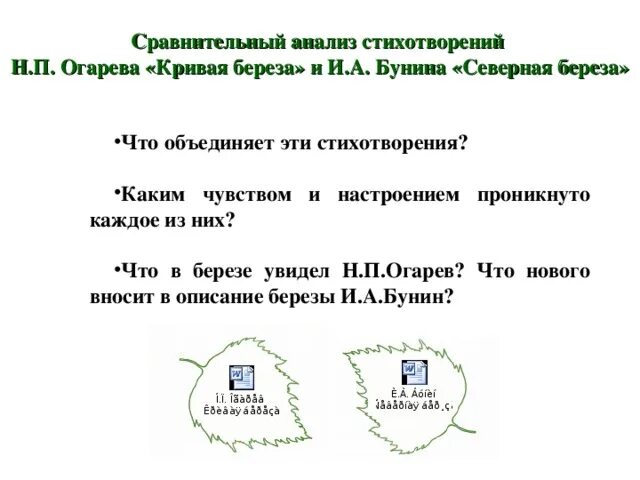 Стих Бунина Северная береза. Анализ стиха Северная береза Бунин. Анализ стихотворения береза. Анализ стиха кривая береза. Стихотворение бунина береза