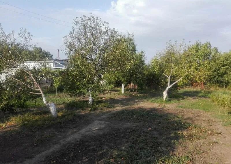 Участок 2 неклиновского. Участок 2 неклиновского. Самбек ростовская область неклиновский район. Таганрог село вареновка. Участок 2 неклиновского.