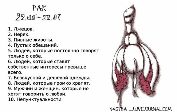 РАК, ПРОГНОЗ НА 2023 год - YouTube