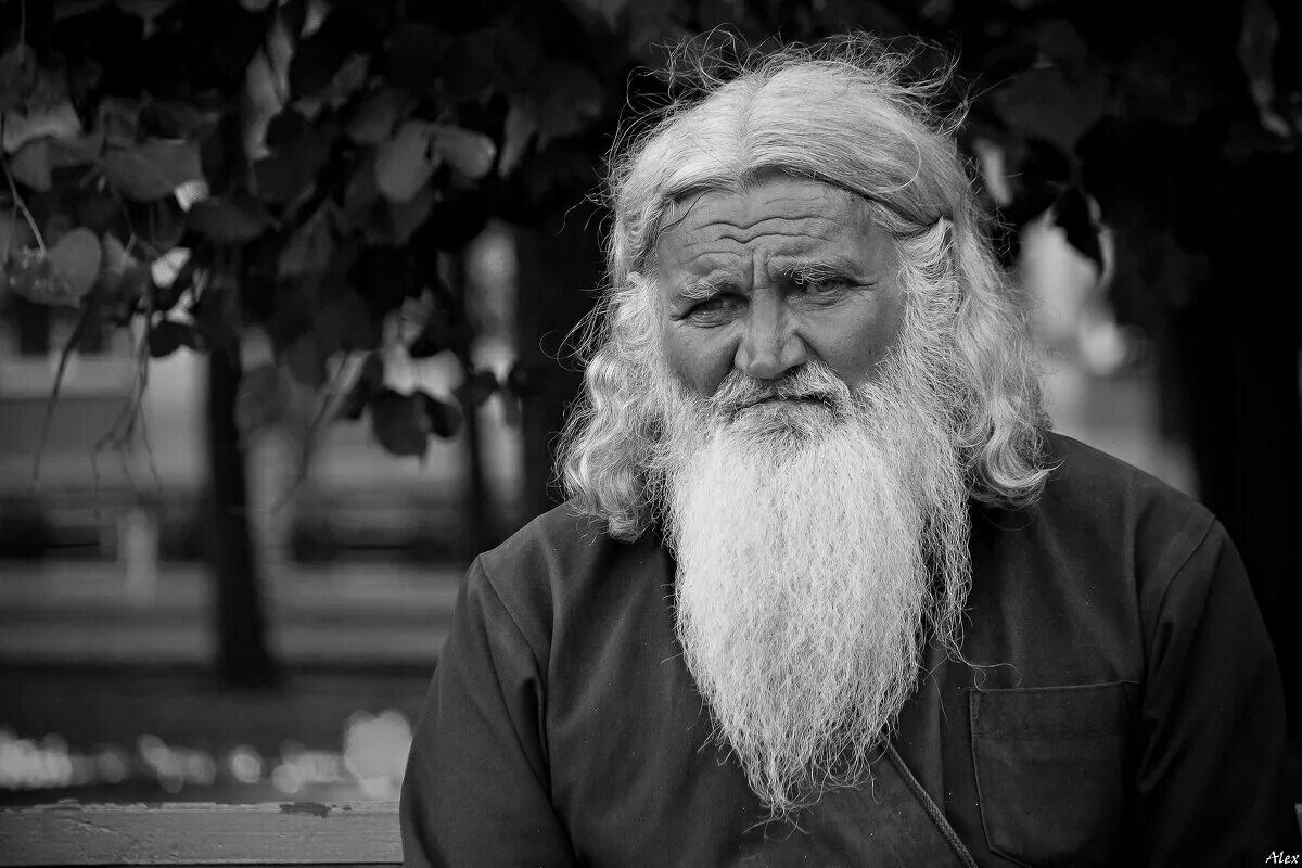 Мудрый взгляд. Лицо старика с бородой. Евдристий благолюб. Добрые глаза. Лицо старика с бородой.