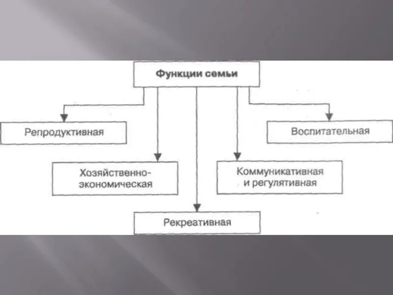 Функции семьи 6 класс. Функции семьи схема. функции современной семьи схема. составьте схему функции семьи. составить схему функции семьи.