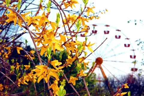 По весне чертовом колесе
