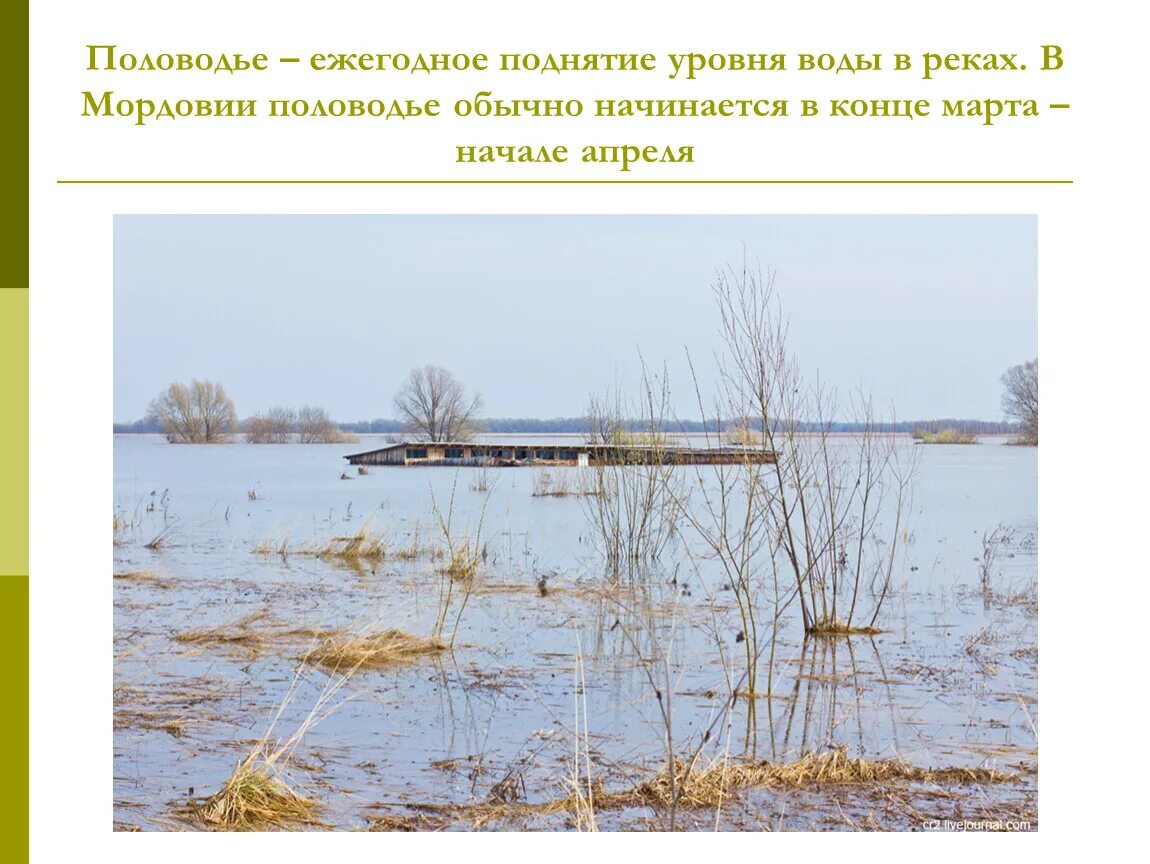 Подъем уровня воды в реке. Весеннее половодье Оки. Ежегодный подъем воды в реке это. Паводок ежегодный подъем уровня рек. Половодье окружающий мир.