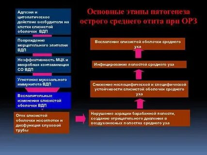Действие возбудителя