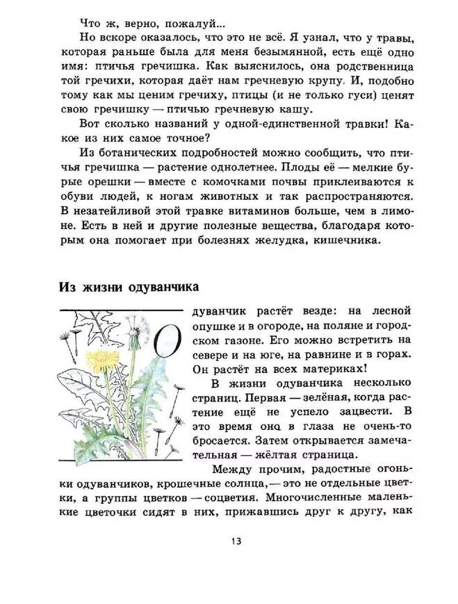 зеленые страницы 3 класс животные читать