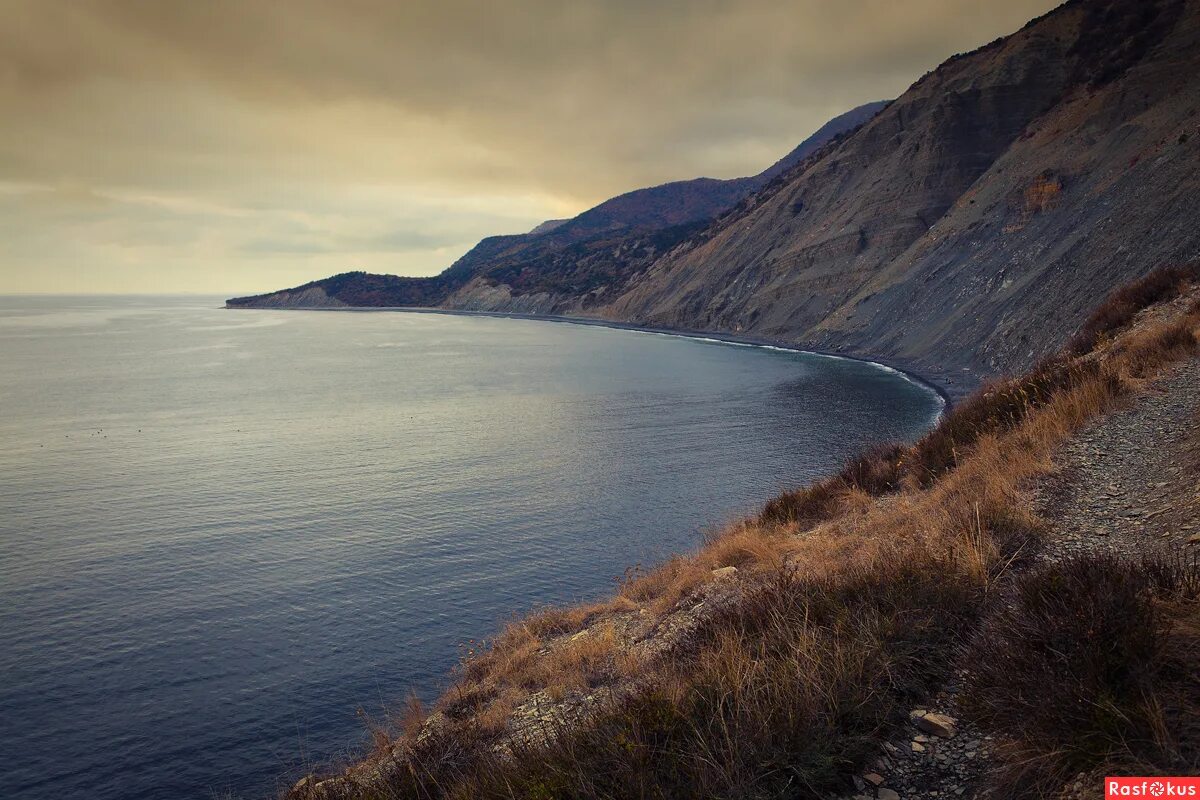 Центр изучения черного моря утриш. Центр изучения черного моря утриш
