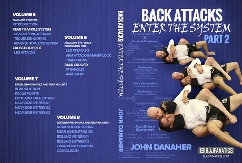 Attack system