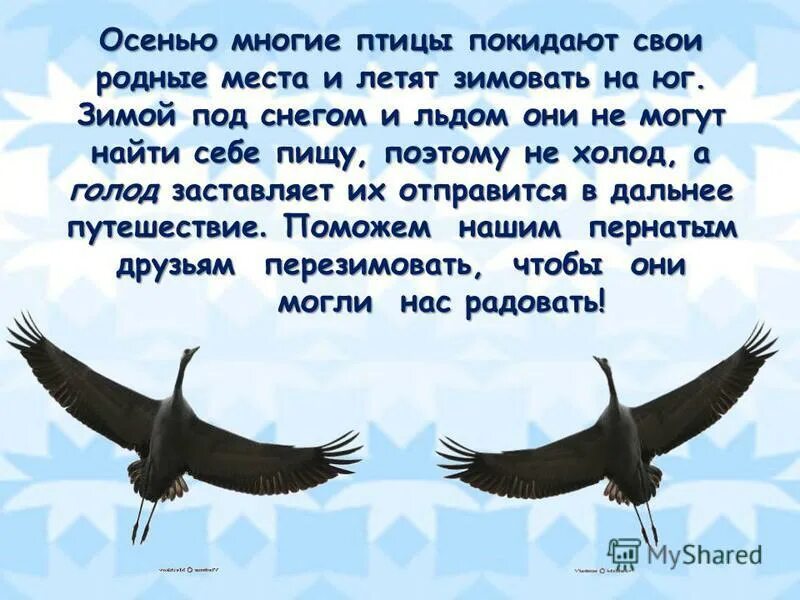 Почему улетают перелетные птицы. Причины перелета птиц. Почему улетают перелетные птицы. Прилет птиц сочинение. Птицы улетают в теплые края.