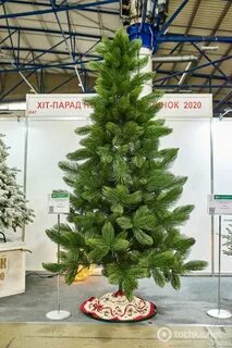 Елки рейтинг