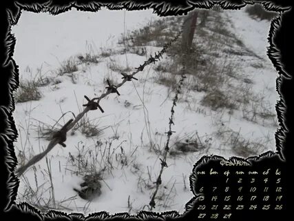 Февраль 2012