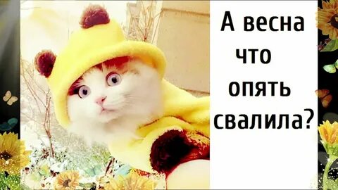 Там где зима теплее лето прохладно