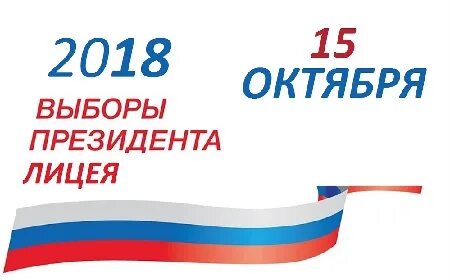 12 октября выборы