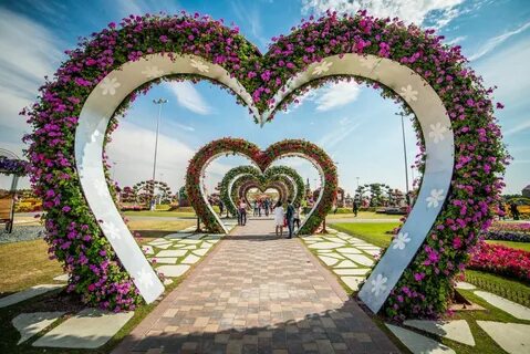 Аллея цветов