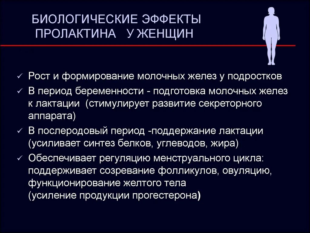 Пролактин молочные железы. Эффекты пролактина. Биологическое действие пролактина. Биологическая роль пролактина. Пролактин физиологический эффект.