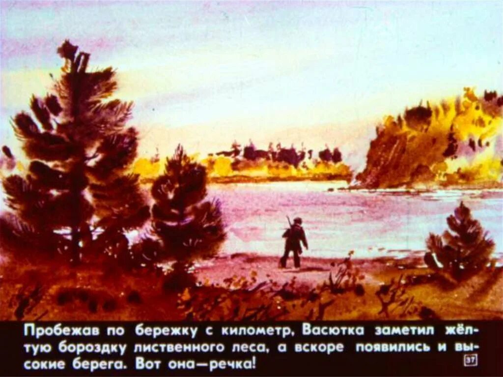 Желтая бороздка лиственного леса которую заметил васютка. Васюткино озеро васютка. иллюстрация к рассказу васюткино озеро. рисунок к произведению васюткино озеро. васютка нашел озеро.