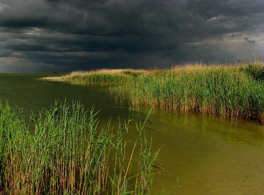 Затишье в природе. Природа перед грозой. Затишье перед бурей. Пейзаж затишье.