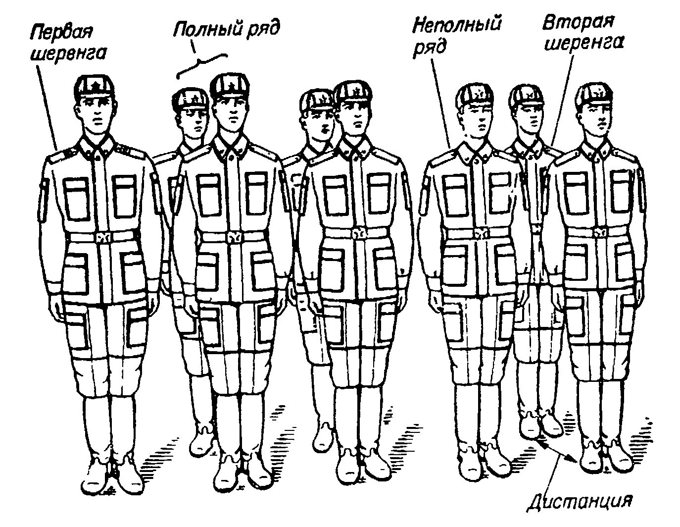 Двухшереножный Строй схема. Одношереножный Строй и его элементы. Двухшереножный Строй строевой устав. Развернутый Строй отделения - двухшереножный.