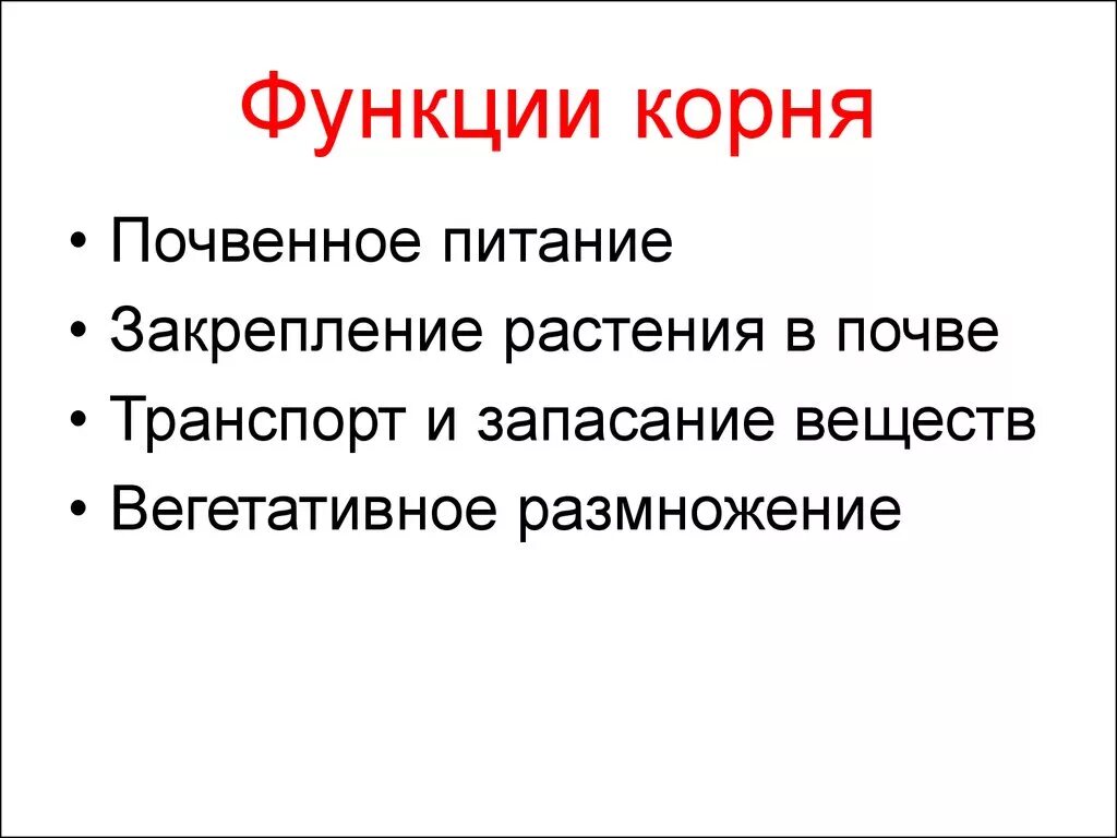 Функция корневища. Основные функции корня. Перечислите основные функции корня. Основные функции корня растения. Главные функции корня.