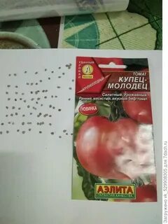 Молодец отзывы