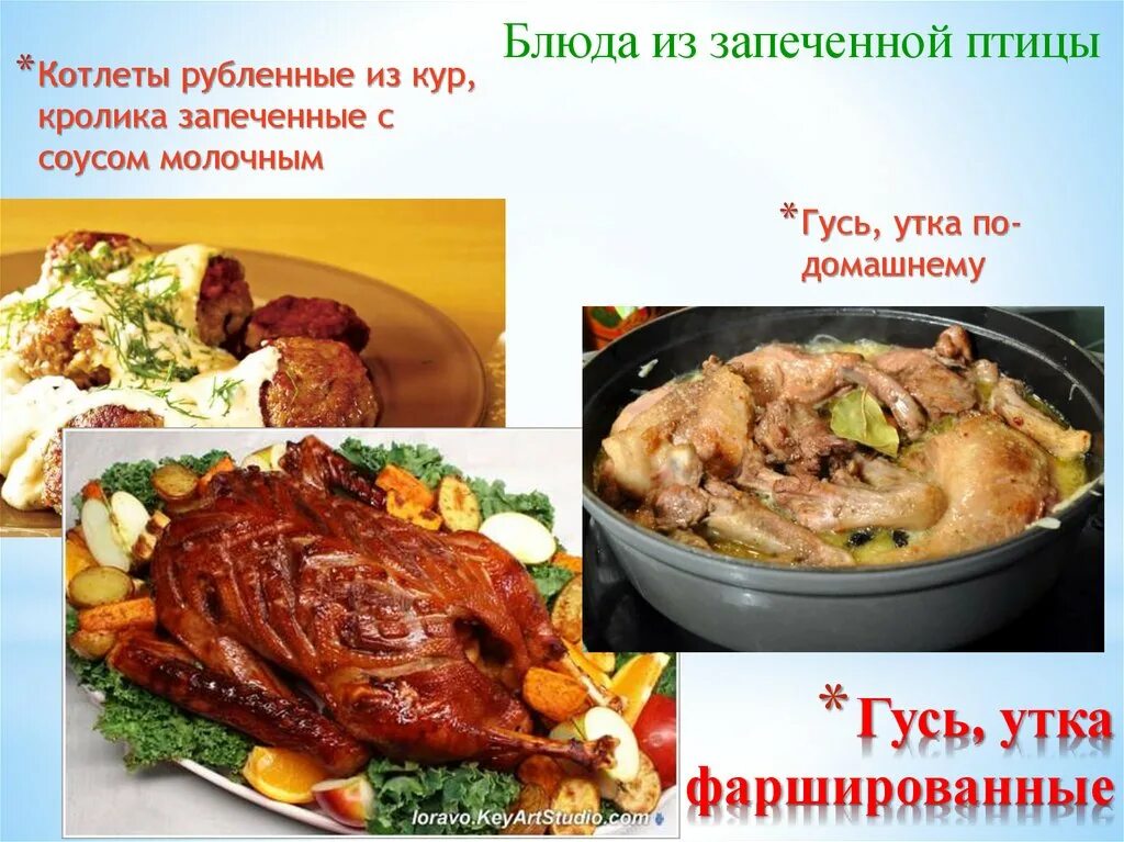 Ассортимент приготовления блюд из дичи. Ассортимент блюд из домашней птицы. ассортимент блюд из жареной птицы. блюда из птицы рецепты. ассортимент блюд из домашней птицы дичи кролика.