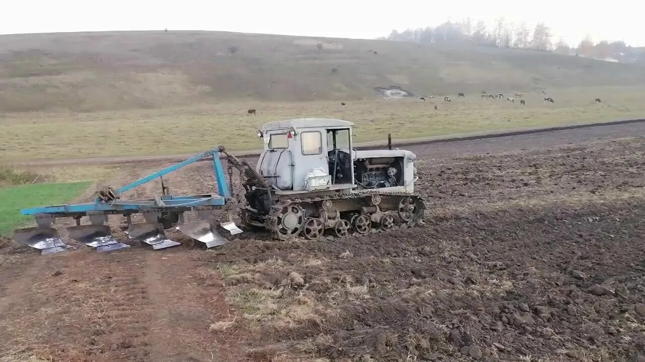 Т-150 гусеничный с плугом. Трактор т-74 с плугом. Трактор ДТ 75 В поле. Т74в пахоте. Трактор на 1 плуг