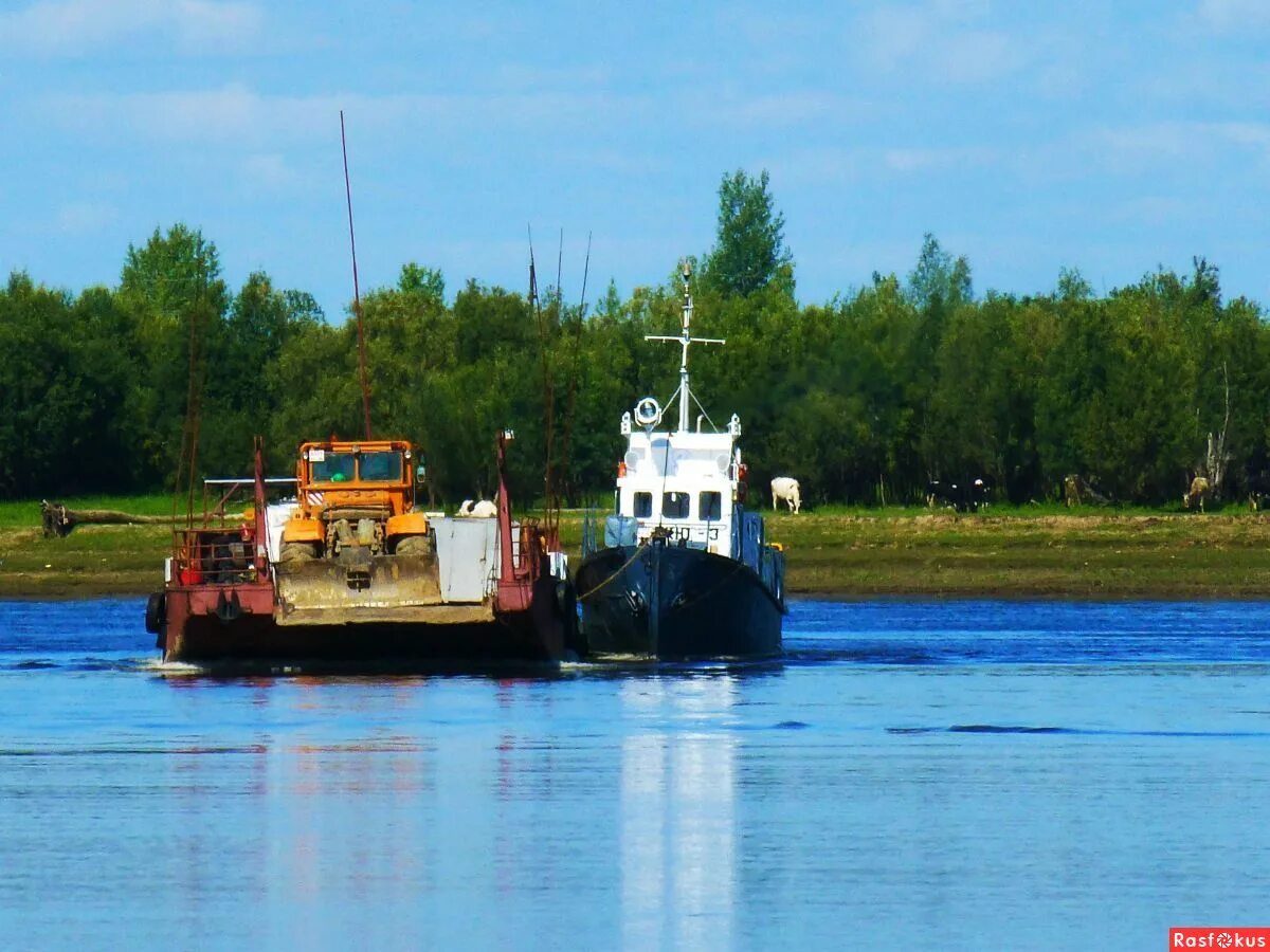 река волга кстово. река труженица. волга большая труженица. пароход бурлак рыбинск. река волга березы.