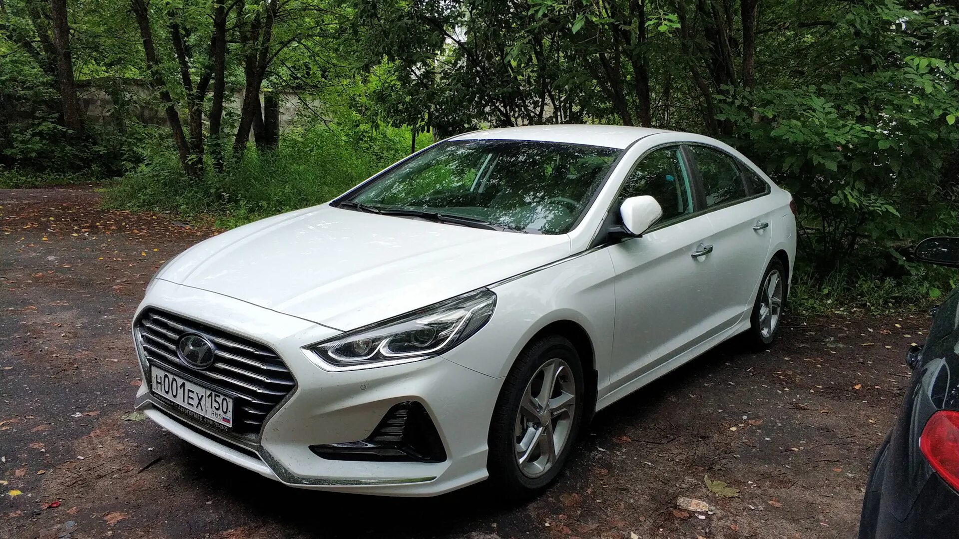 0 белая. Литые диски установленные на хендай соната yf фото. Sonata белая. Sonata белая. Hyundai sonata 6.