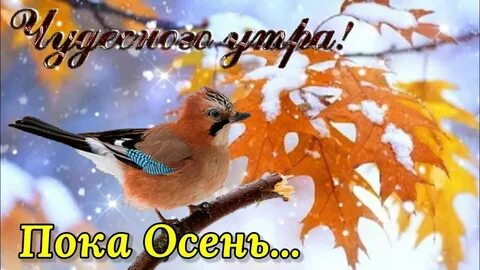 30 ноября утро