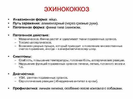 Эхинококк заражение