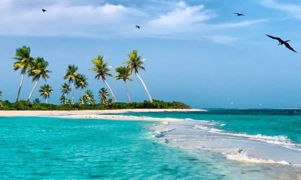 Paradise beach surf венесуэла. Остров коче венесуэла. Остров коче венесуэла. Коче венесуэла отзывы. Венесуэла пляжи.