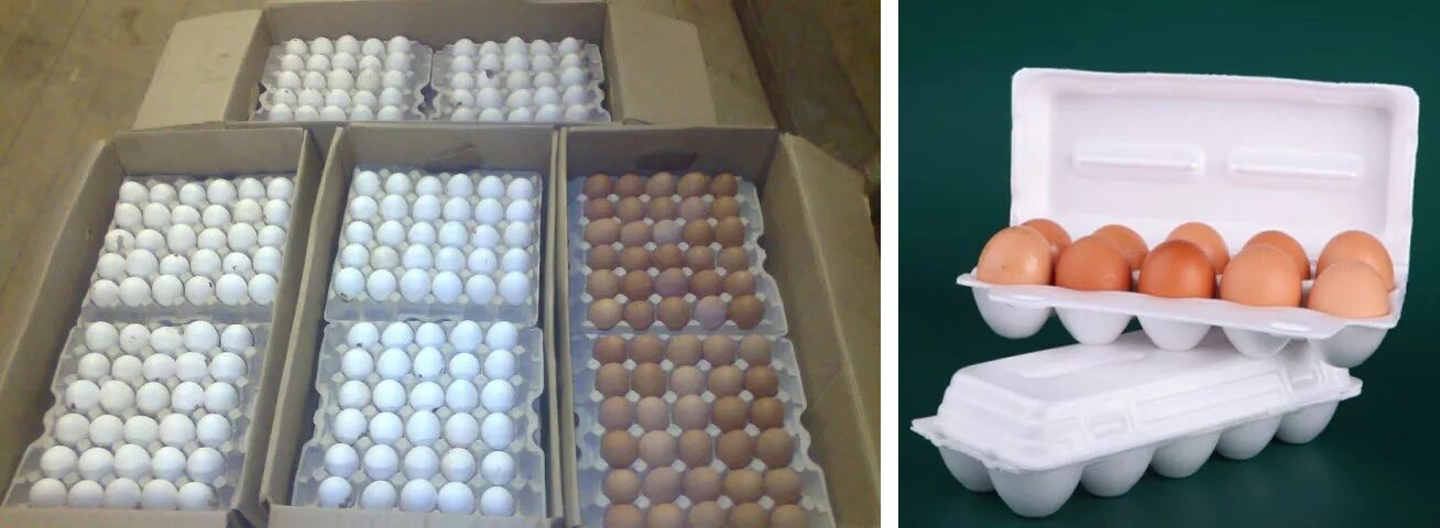 Яйцо куриное коробка. Упаковка для яиц. Яйца в коробке. Транспортировка яиц куриных. Ящик для перевозки яиц.