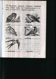 Подпиши рисунки используя слова