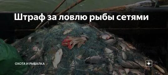 Наказание за ловлю. Штраф за рыбалку сетями. Наказание за лов рыбы сетью. Штрафы за браконьерство сетями. Штрафы за ловлю рыбы сетями.