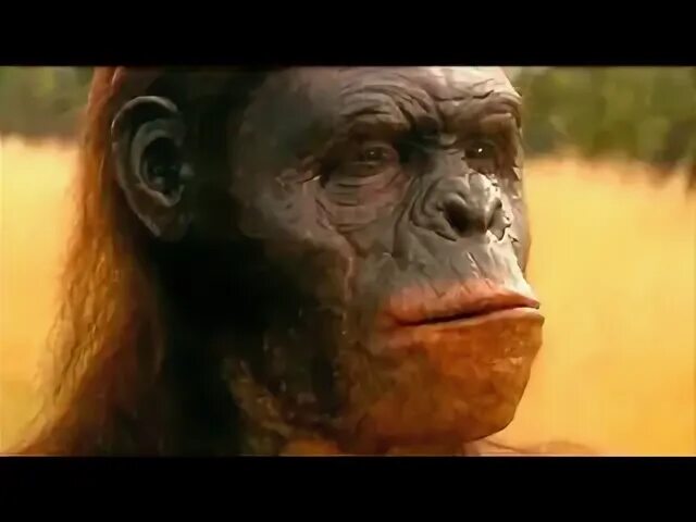 Прогулки с человеком bbc. Прогулки с пещерным человеком 2003.