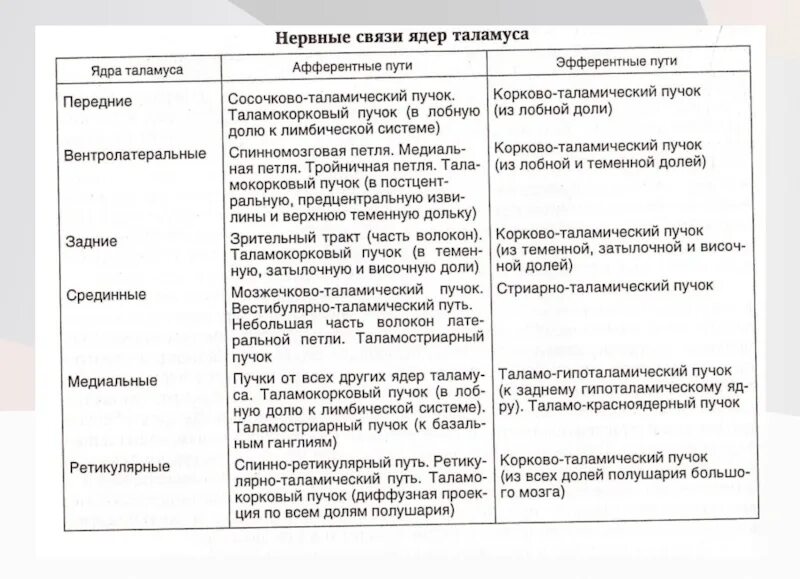 Промежуточный строение и функции. Промежуточный мозг особенности строения и функции таблица. Отделы промежуточного мозга таблица. Промежуточный мозг отделы и функции таблица. Промежуточный мозг строение и функции таблица.