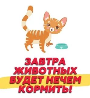 Кормить нечем